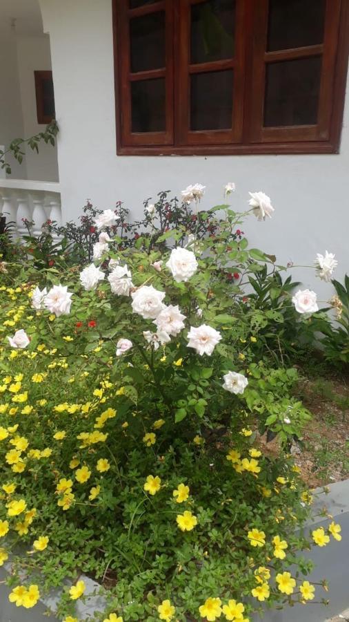 Hotel Ogumka, Self Catering , Beoliere, Mahe Victoria Exterior foto