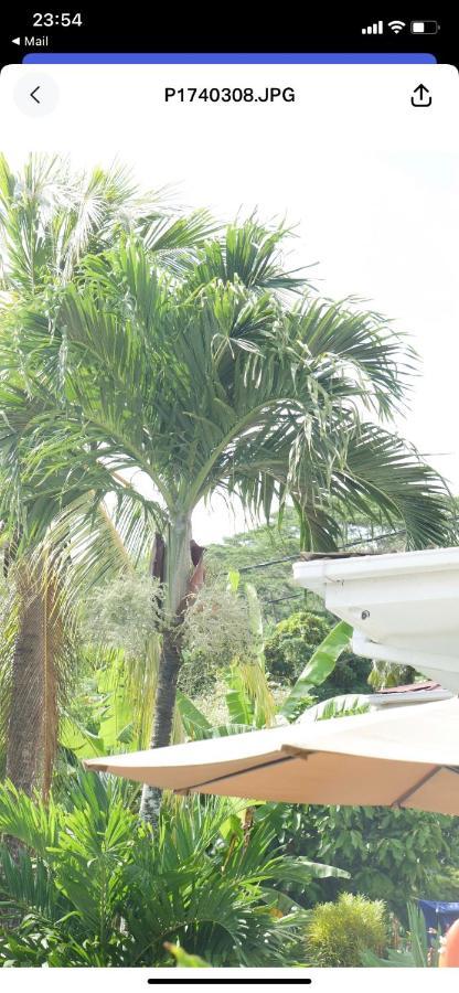 Hotel Ogumka, Self Catering , Beoliere, Mahe Victoria Exterior foto